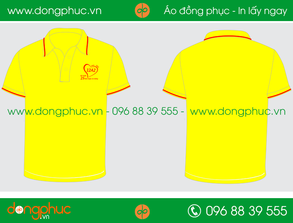 Áo phông đồng phục Lớp 12A2